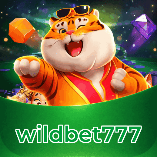 Termos e Condições Transparentes wildbet777